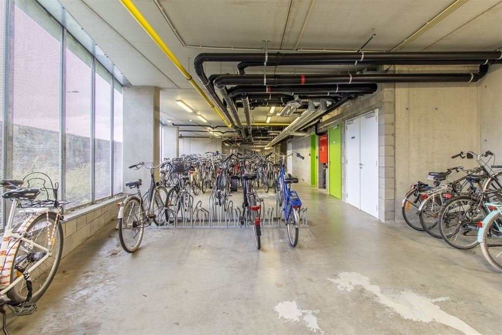 Studentenkamer te huur in LEUVEN